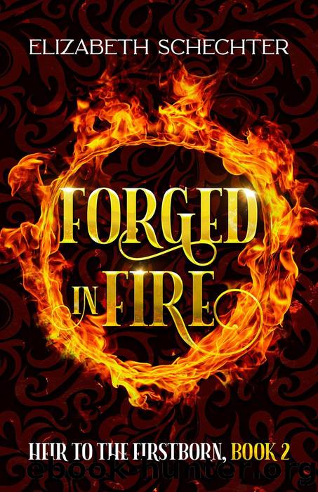 Forged in Fire by Elizabeth Schechter