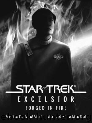 Forged in Fire by Michael A. Martin & Andy Mangels