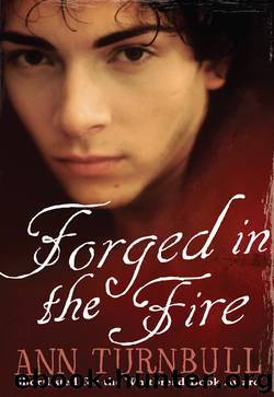 Forged in the Fire by Ann Turnbull