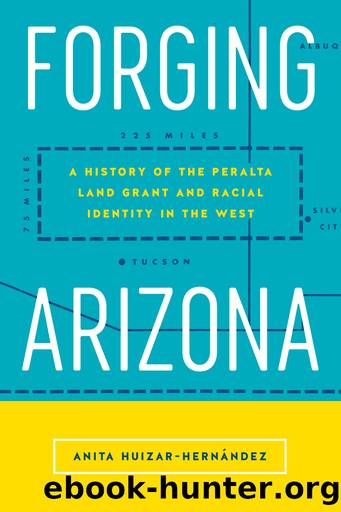 Forging Arizona by Anita Huizar-Hernández