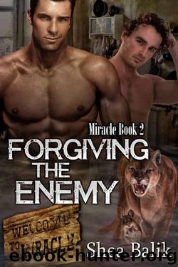 Forgiving the Enemy by Shea Balik