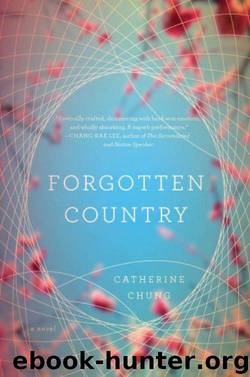 Forgotten Country by Catherine Chung
