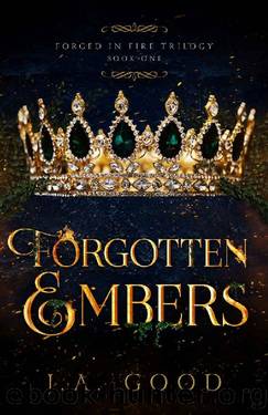 Forgotten Embers (Forged in Fire Trilogy Book 1) by J.A. Good