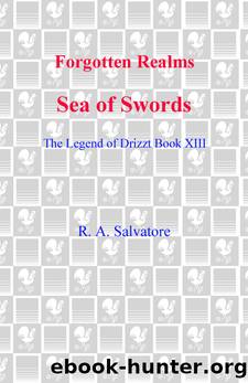 Forgotten Realms: Sea of Swords - The Legend of Drizzt - Book XIII by R. A. Salvatore