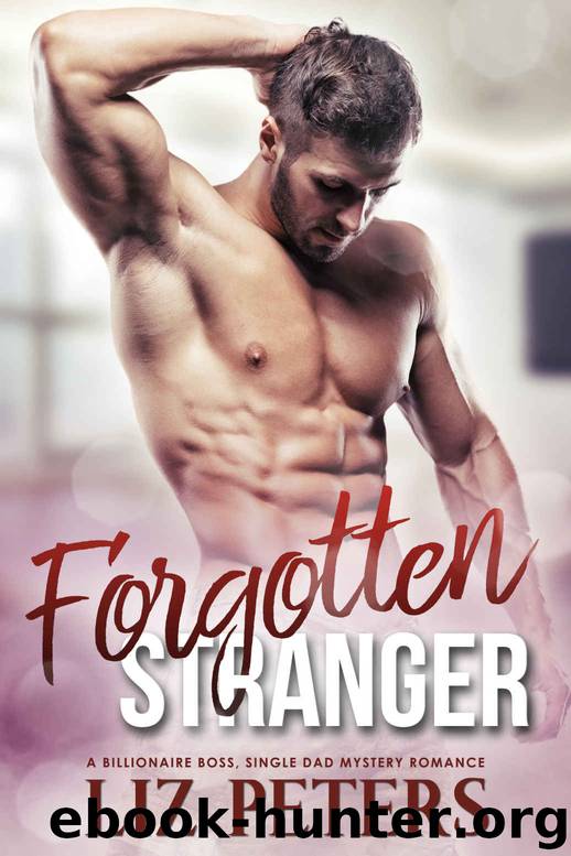 Forgotten Stranger: A Billionaire Boss, Single Dad Mystery Romance by Peters Liz