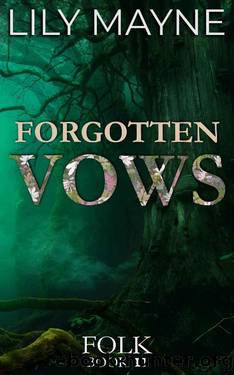 Forgotten Vows: MM Fae Romance (Folk Book 2) by Lily Mayne