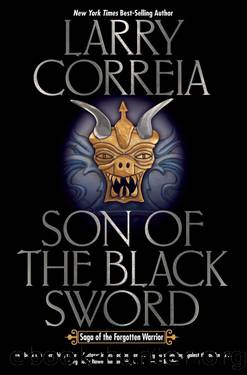 Forgotten Warrior 1 - Son of the Black Sword by Larry Correia