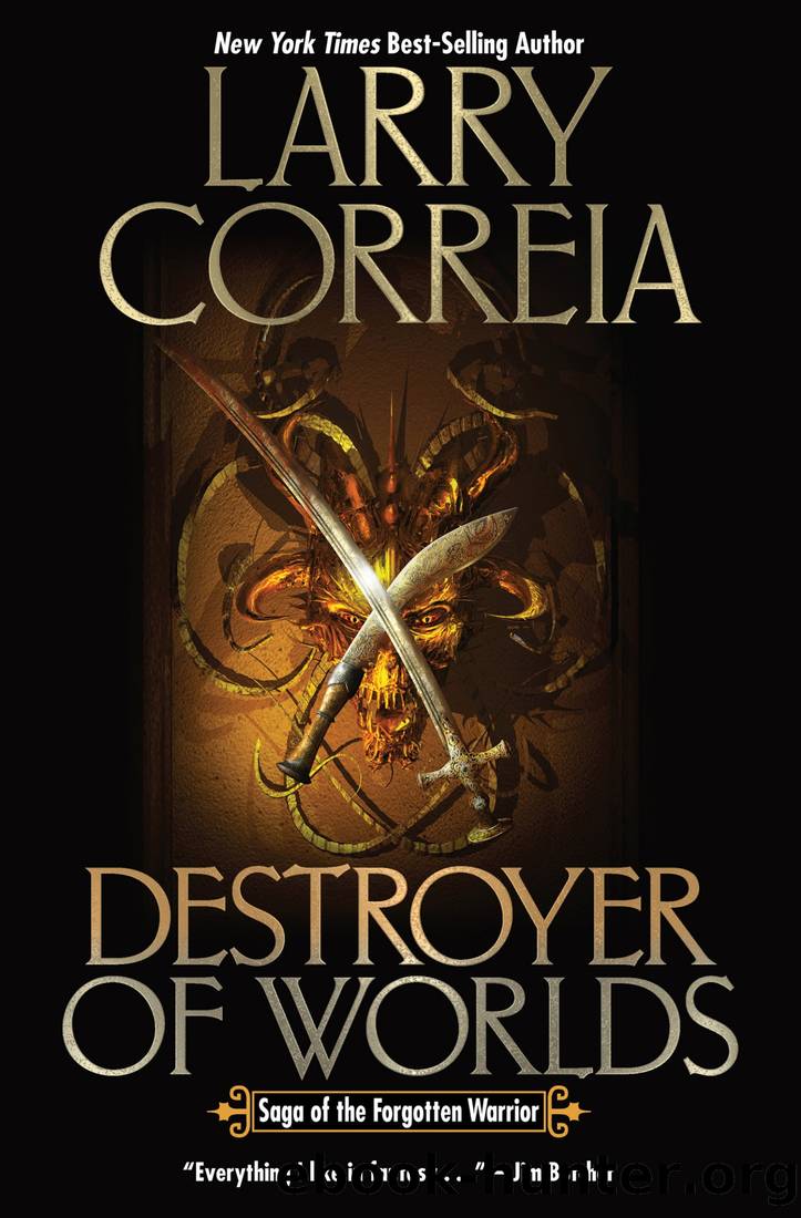 Forgotten Warrior 3 - Destroyer of Worlds by Larry Correia