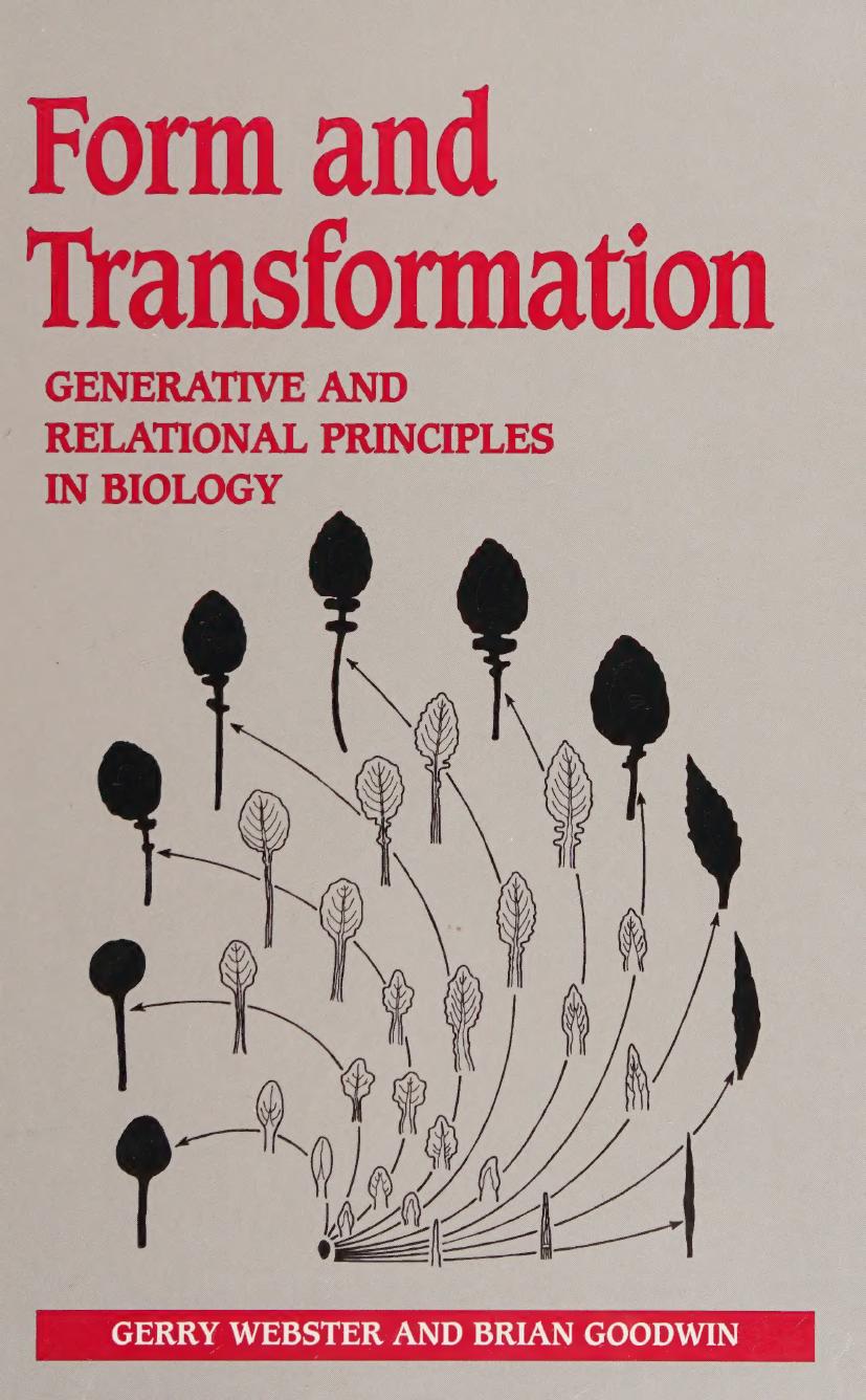 Form and Transformation: Generative and Relational Principles in Biology by Gerry Webster Brian Goodwin