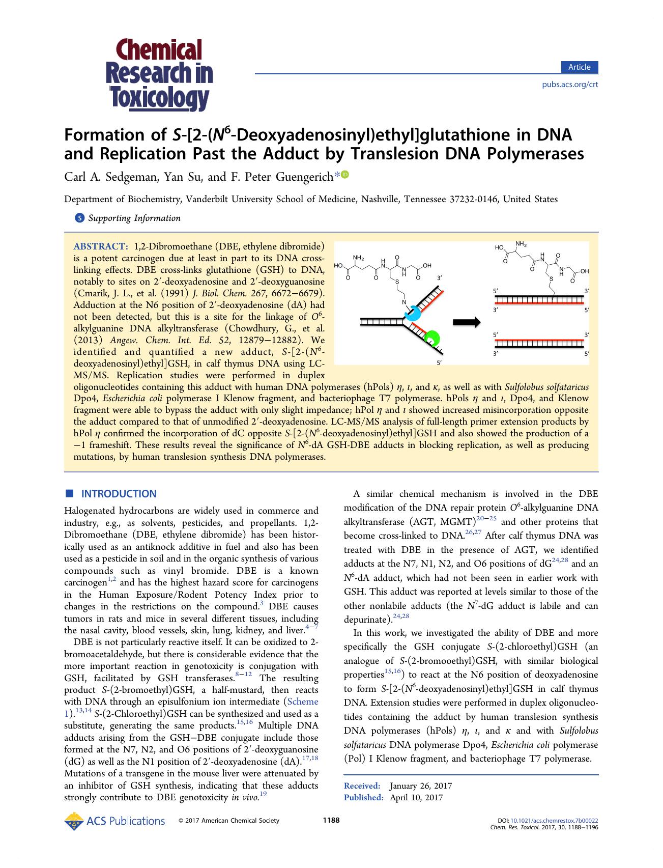 Formation of S-[2-(N6-Deoxyadenosinyl)ethyl]glutathione in DNA and Replication Past the Adduct by Translesion DNA Polymerases by Carl A. Sedgeman Yan Su and F. Peter Guengerich