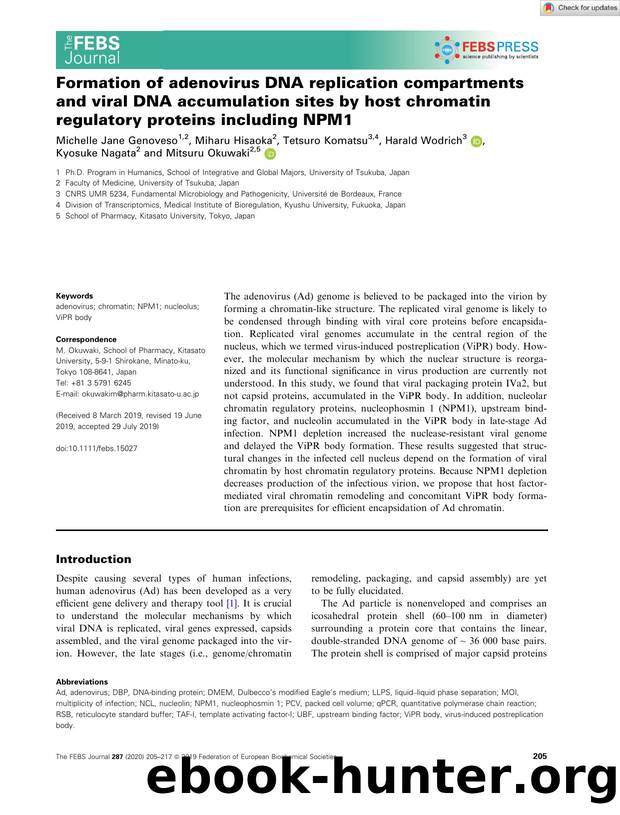 Formation of adenovirus DNA replication compartments and viral DNA accumulation sites by host chromatin regulatory proteins including NPM1 by Unknown