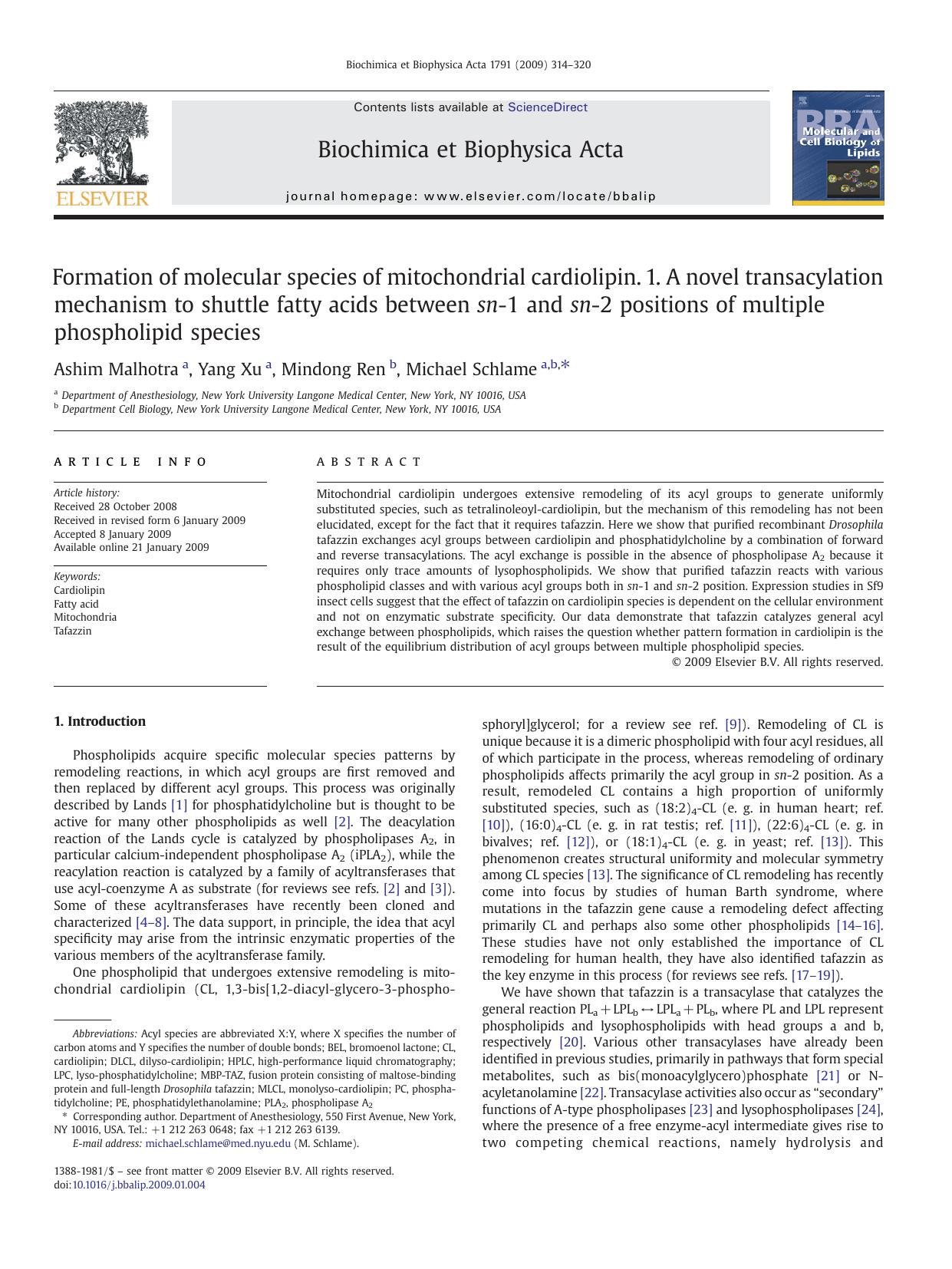 Formation of molecular species of mitochondrial cardiolipin. 1. A novel transacylation mechanism to shuttle fatty acids between sn-1 and sn-2 positions of multiple phospholipid species by Ashim Malhotra; Yang Xu; Mindong Ren; Michael Schlame