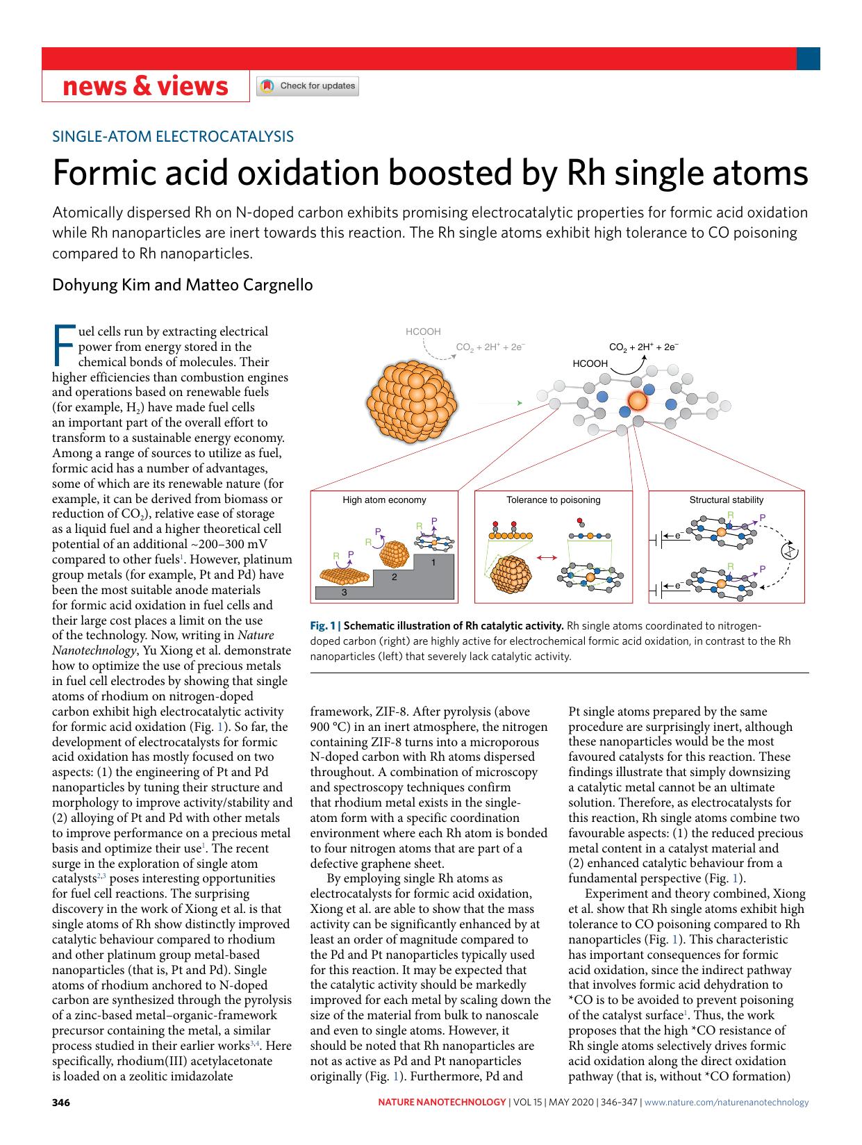 Formic acid oxidation boosted by Rh single atoms by Dohyung Kim & Matteo Cargnello