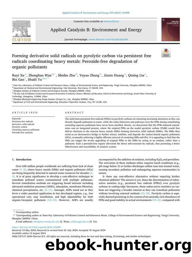 Forming derivative solid radicals on pyrolytic carbon via persistent free radicals coordinating heavy metals: Peroxide-free degradation of organic pollutants by Ruyi Xu & Zhonghao Wan & Shishu Zhu & Yuyao Zhang & Jiaxin Huang & Qining Liu & Bin Gao & Shuili Yu