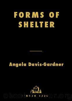 Forms of Shelter by Angela Davis-Gardner