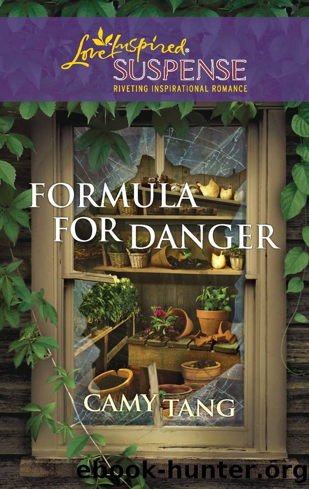 Formula for Danger by Camy Tang