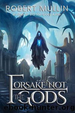 Forsake Not the Gods: Book Two of The Wells of the Worlds by Robert Mullin