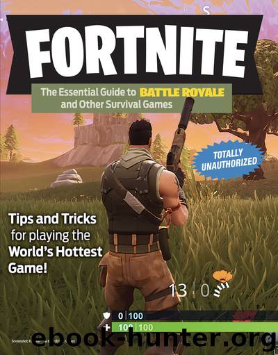 Fortnite by Triumph Books