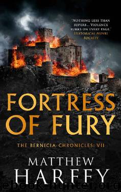 Fortress of Fury (The Bernicia Chronicles) by Matthew Harffy