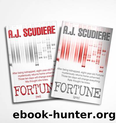 Fortune (Gray & Red) by A.J. Scudiere