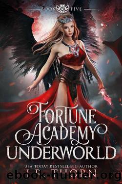 Fortune Academy Underworld: Book Five by J.R. Thorn