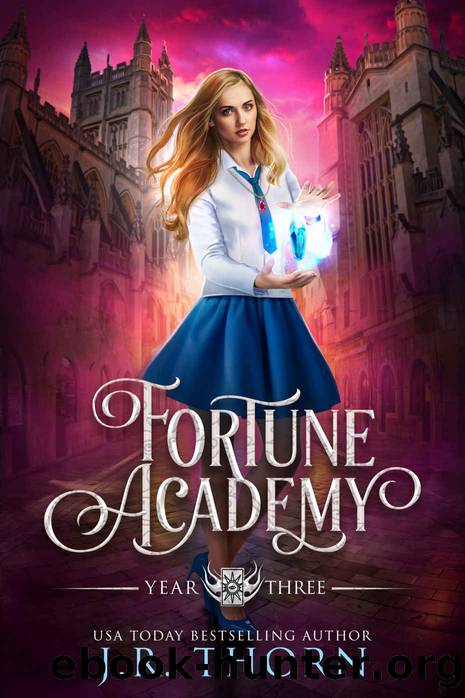 Fortune Academy: Year Three by J. R. Thorn