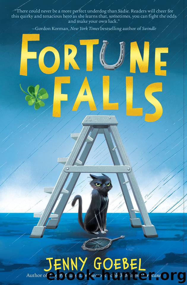 Fortune Falls by Jenny Goebel