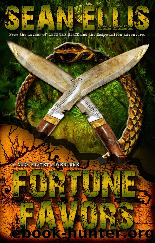 Fortune Favors by Sean Ellis