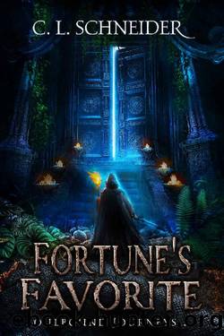 Fortune's Favorite (Soulbound Journeys Book 2) by C. L. Schneider