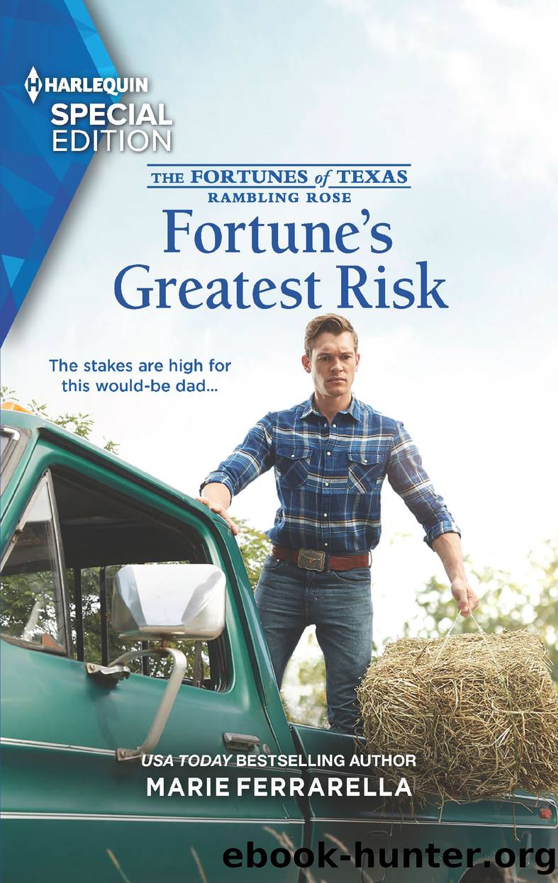 Fortune's Greatest Risk by Marie Ferrarella