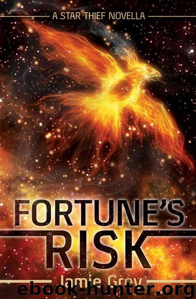 Fortune's Risk: A Star Thief Novella (Star Thief Chronicles #1.5) by Jamie Grey
