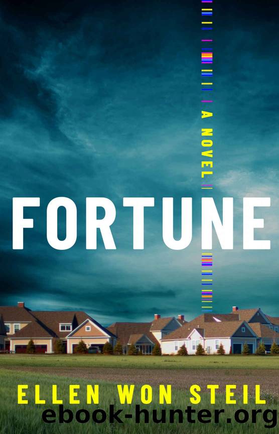 Fortune: A Novel by Ellen Won Steil