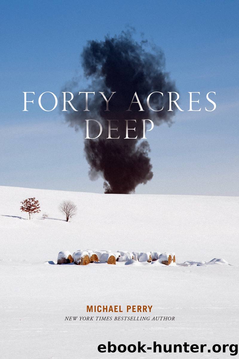Forty Acres Deep by Perry
