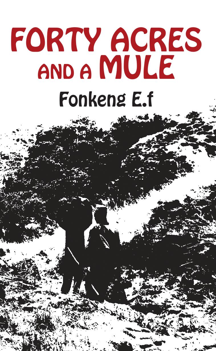 Forty Acres and a Mule by E.f. Fonkeng