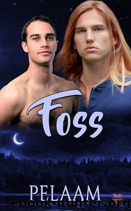Foss by Pelaam