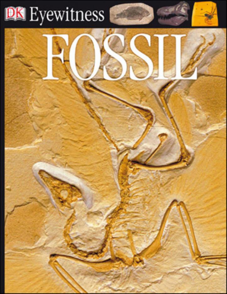 Fossil (DK Eyewitness Books) by Paul Taylor