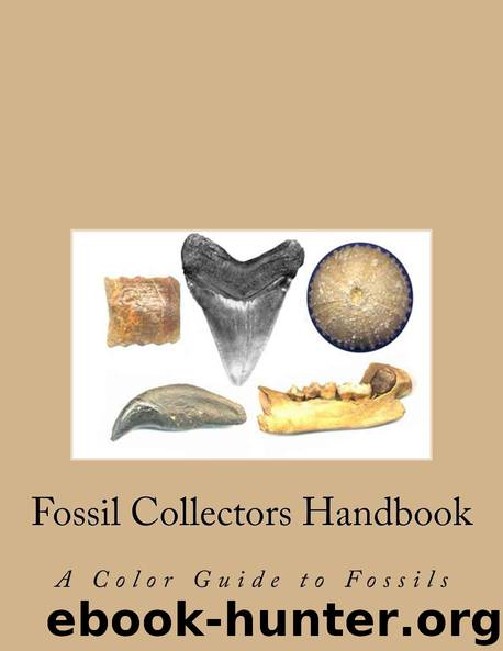 Fossil Collectors Handbook by LeAnn Rathbone