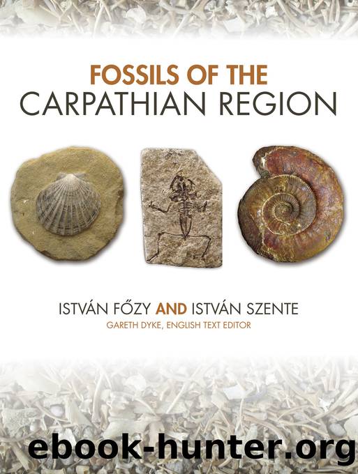 Fossils of the Carpathian Region by István Főzy & István Szente