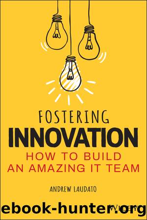 Fostering Innovation: How to Build an Amazing IT Team by Andrew Laudato