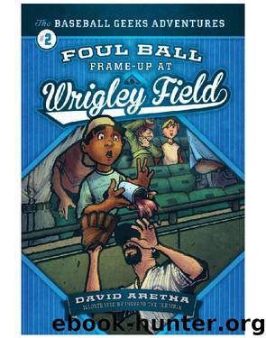 Foul Ball Frame-up at Wrigley Field by David Aretha