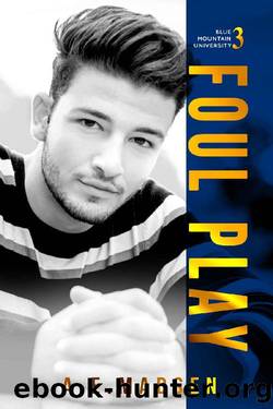 Foul Play: MM Long Distance Sports Romance (Blue Mountain University Book 3) by A.E. Madsen