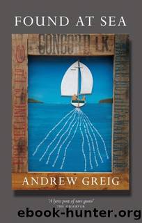 Found at Sea by Andrew Greig