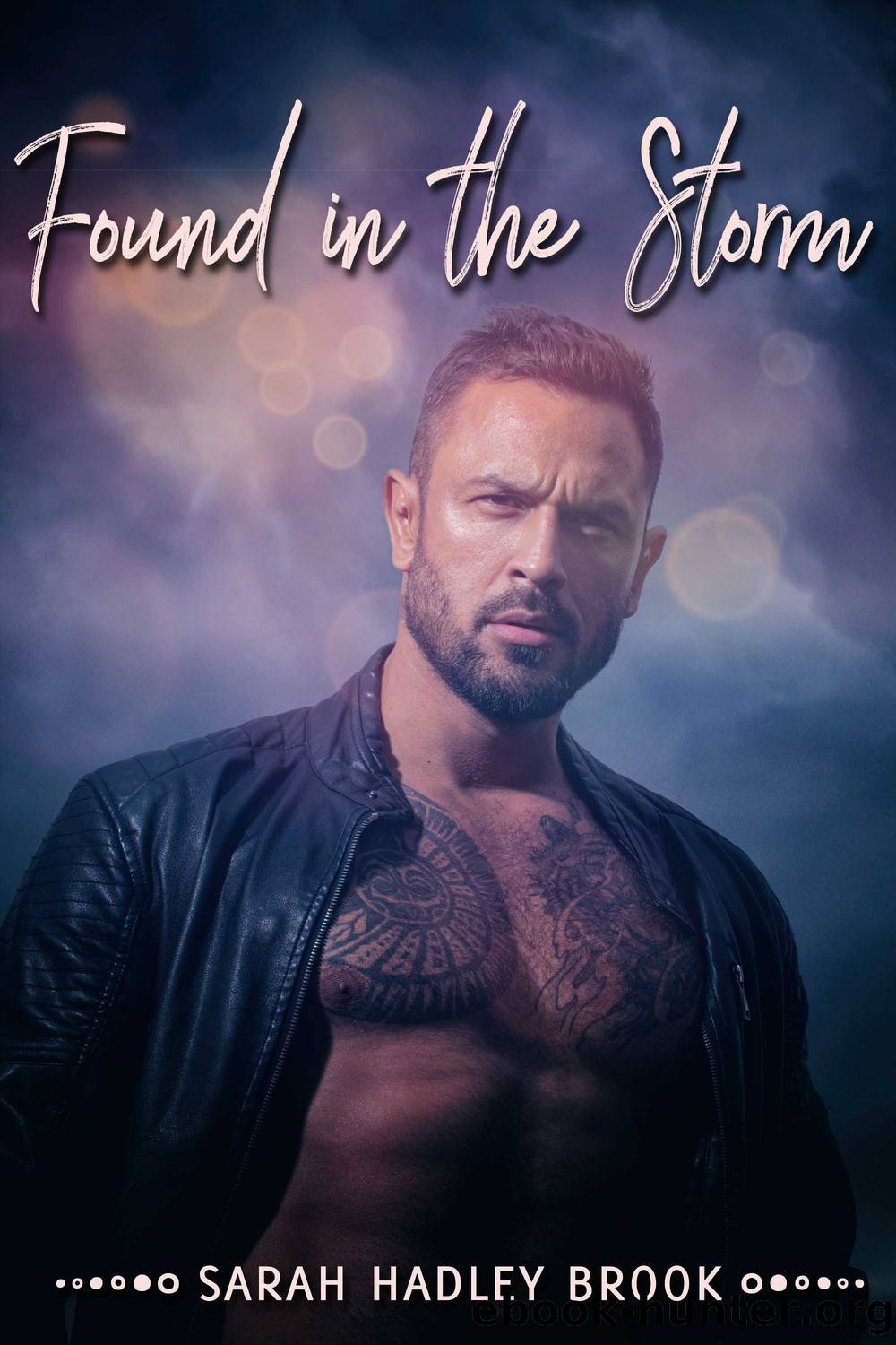 Found in the Storm by Sarah Hadley Brook