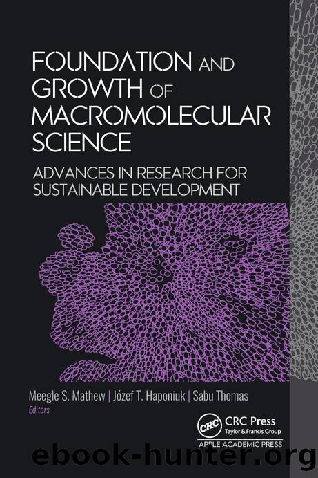 Foundation and Growth of Macromolecular Science by Meegle S. Mathew & Józef T. Haponiuk & Sabu Thomas