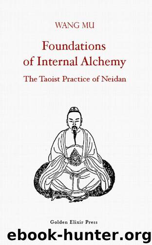 Foundations of Internal Alchemy: The Taoist Practice of Neidan by Mu Wang