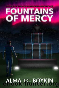 Fountains of Mercy by Alma T. C. Boykin