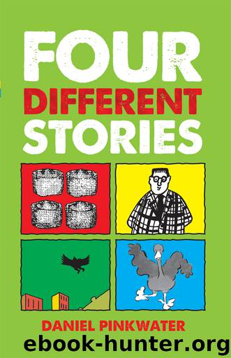 Four Different Stories by Pinkwater Daniel;