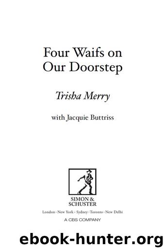 Four Waifs on Our Doorstep by Trisha Merry