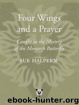 Four Wings and a Prayer by Sue Halpern