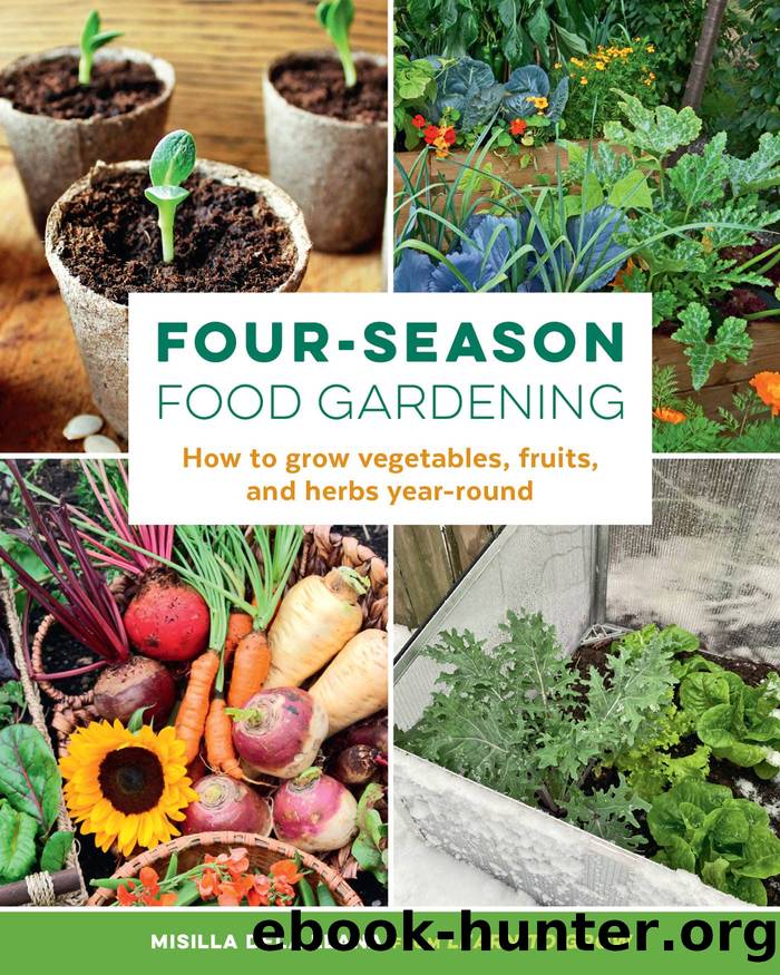 Four-Season Food Gardening by Misilla dela Llana